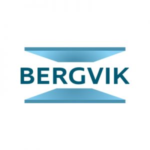 Bergvik